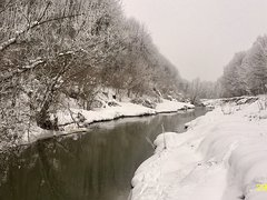 29.01.2017
